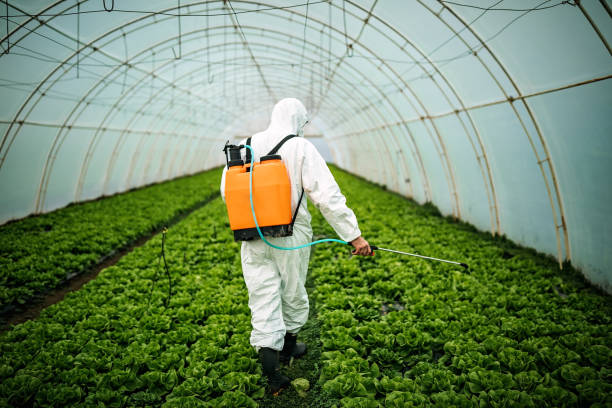 Professional Pest Control in Edgecliff Village, TX