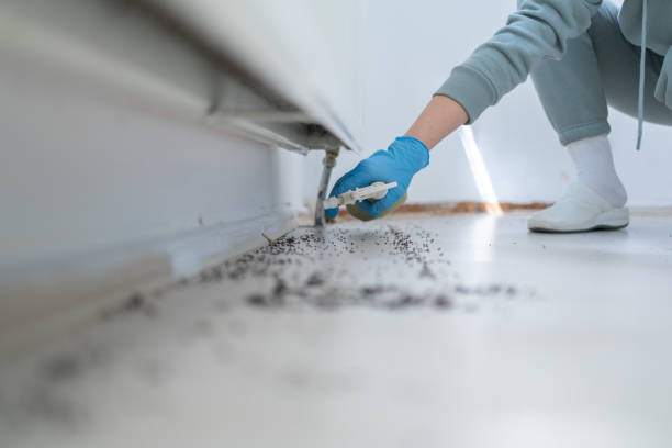 Best Wildlife Control Services  in Edgecliff Village, TX